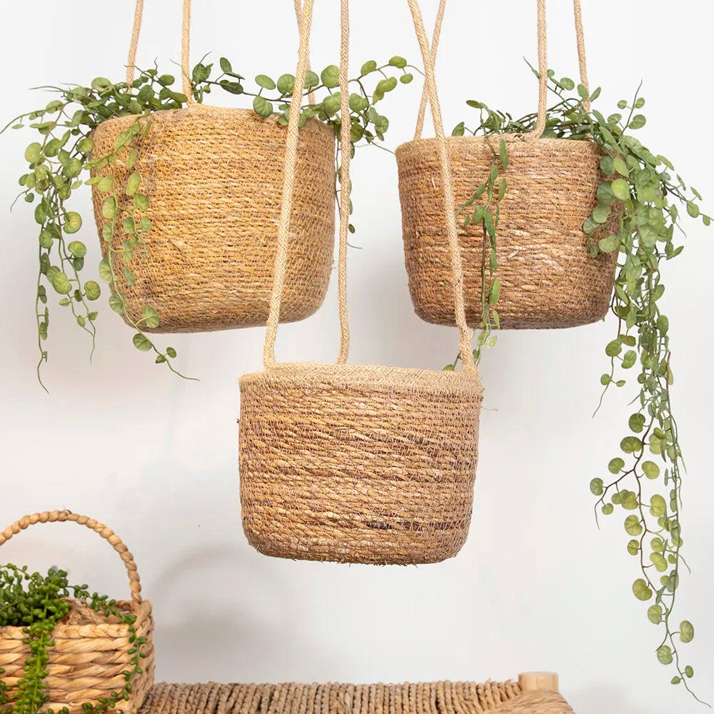 Søgræskurve • Sæt af 3