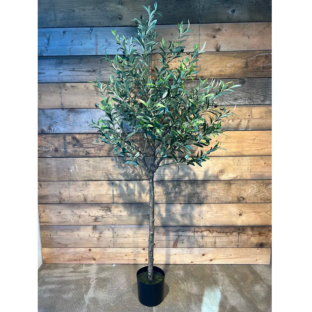 Kunstigt Oliventræ • Extra Large • 187 cm