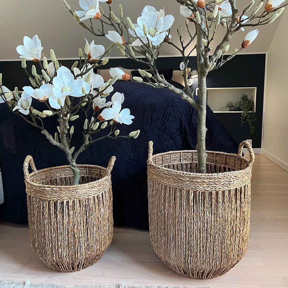 Søgræskurve • Sæt af 2