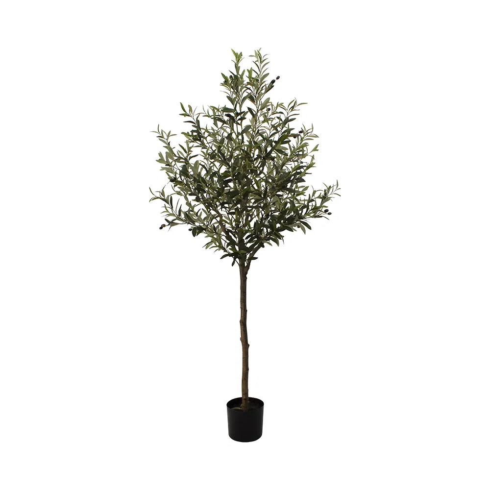 Kunstigt Oliventræ • Extra Large • 187 cm